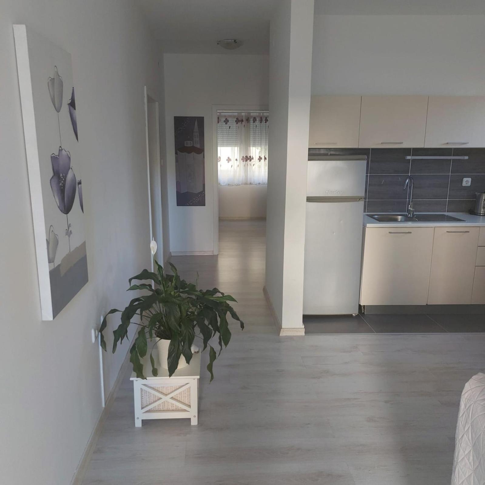 Martina Sun Apartment Zadar Exteriér fotografie